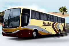 Bus Perúbus