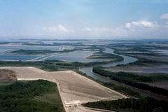 Delta del Estero Real