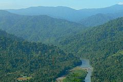 Parc National Darin