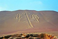 Rserve Nationale de Paracas