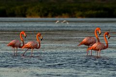 Parc National Jaragua