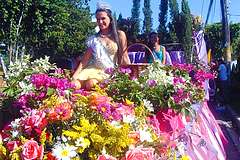 Festival des Fleurs