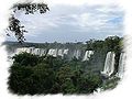 Iguazu et la forêt tropicale