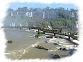 Les passerelles du Parc National Iguazu