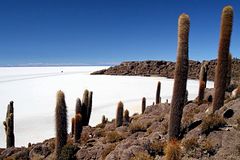 Isla Incahuasi