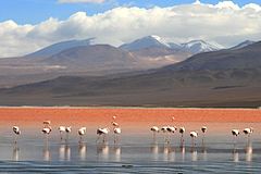 La Laguna Colorada