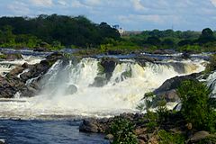 Parc Cachamay