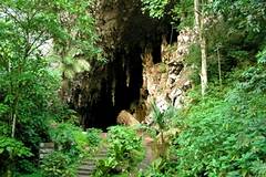 Cueva del Guacharo