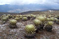 Sierra La Culata - Piedras Blancas