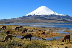 Volcan Parinacota