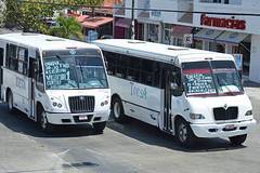 Bus urbain  Playa del Carmen